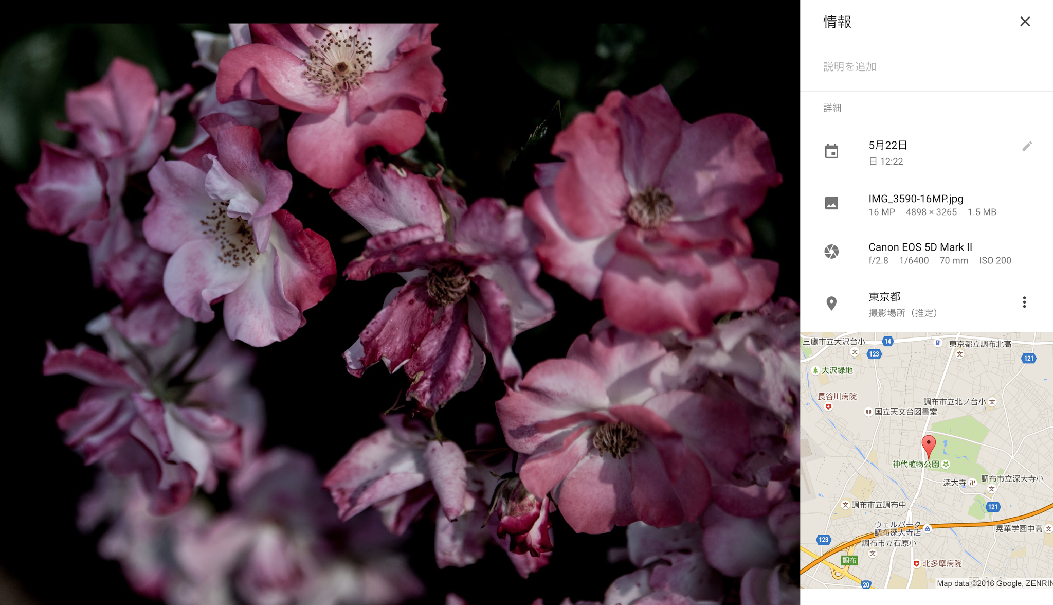 Google Photo が自動的に場所を推定して表示するようになった Tech 氾濫原